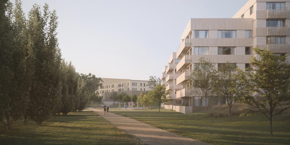 Till höger i bild flerbostadshus, i mitten längre bort en skolbyggnad. Sett från park med träd och gångväg. Illustration